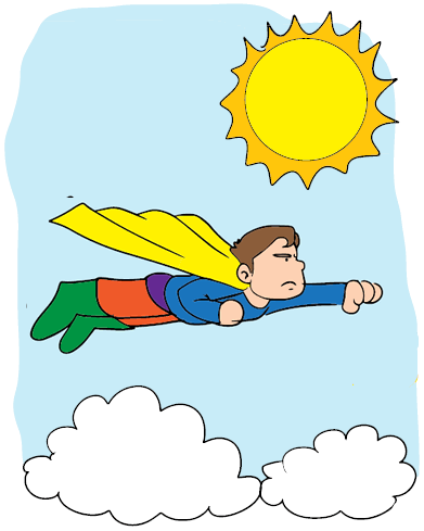 Fly