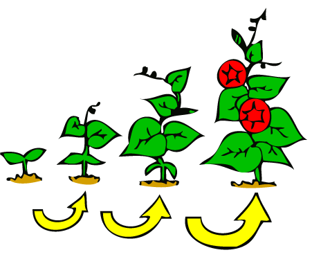 Grow