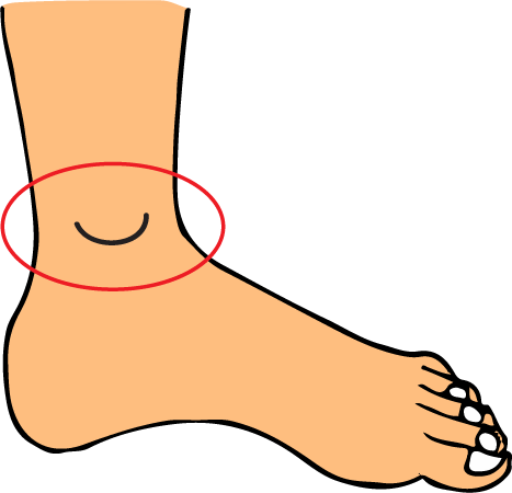 Body Parts