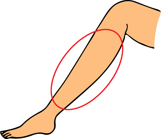 Calf