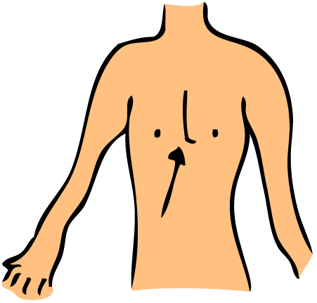 Chest