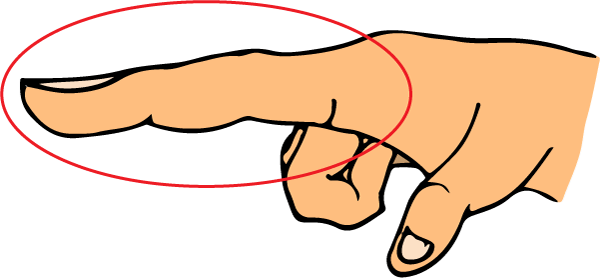 Finger