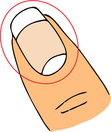 Fingernail