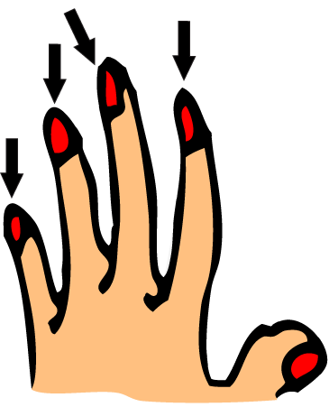 Fingernails
