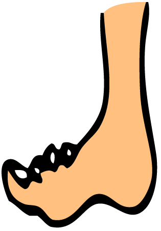 Foot