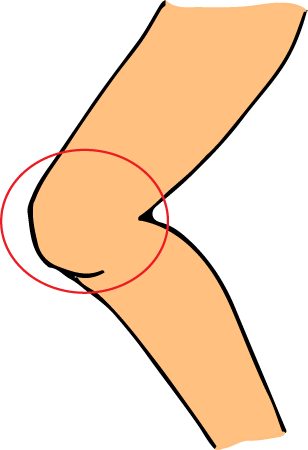 Knee