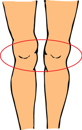 Knees