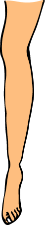 Leg