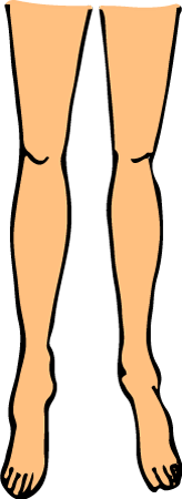 Legs