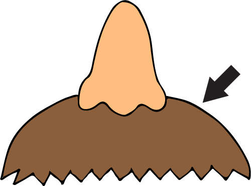Moustache