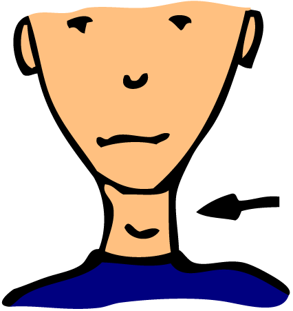 Neck