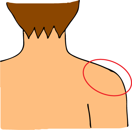 Shoulder