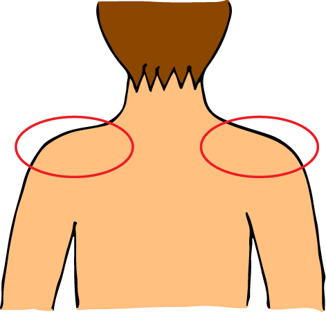 Shoulders