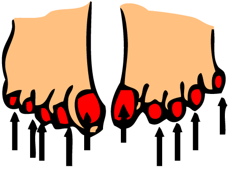 Toenails