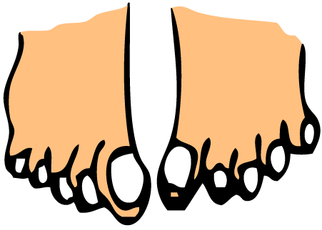 Toes
