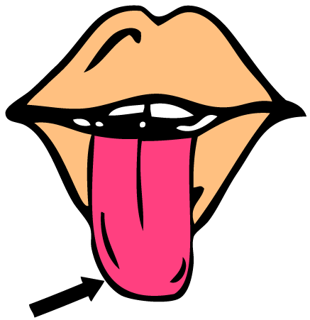 Tongue