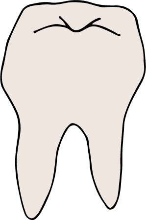 Tooth