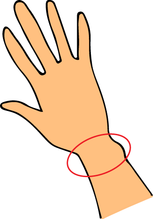 Wrist