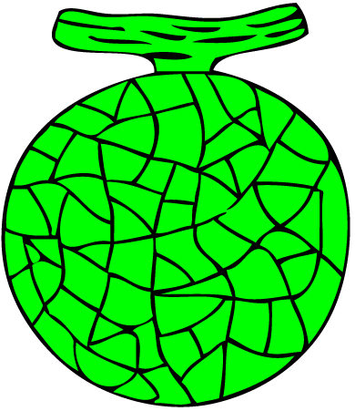 Melon