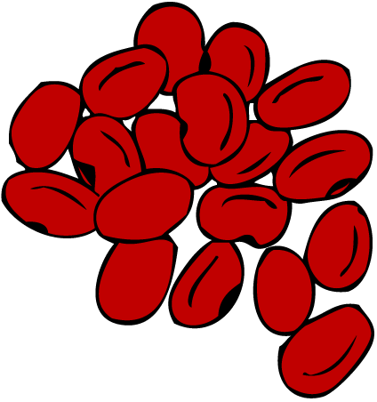 Beans