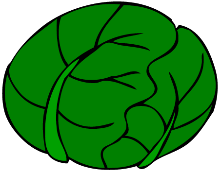 Cabbage