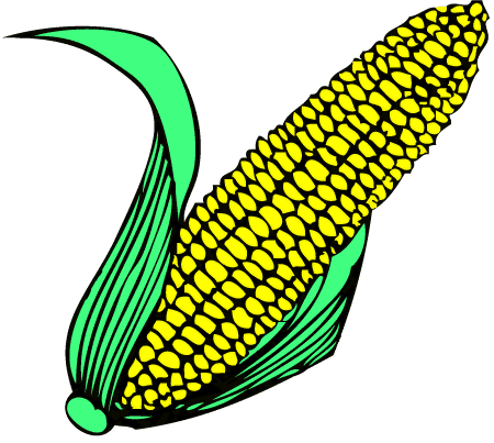 Corn