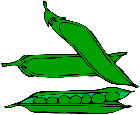 Green Beans