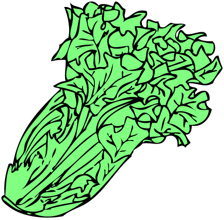 Lettuce