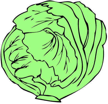 Lettuce