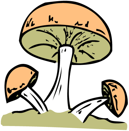 Mushrooms