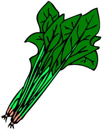 Spinach