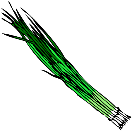 Spring Onion