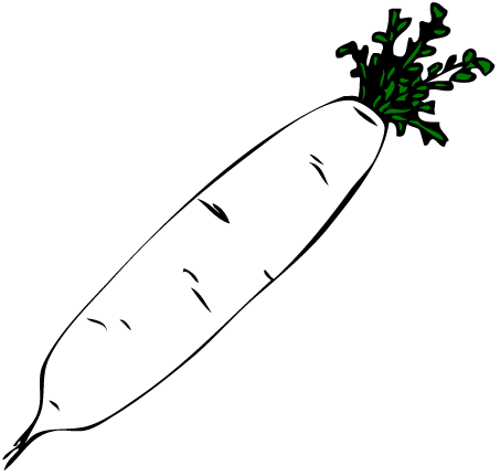 White Raddish